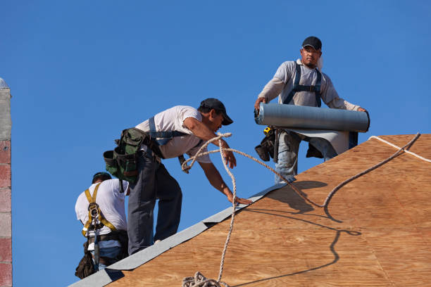 Best Roof Gutter Cleaning  in Mountain Park, GA